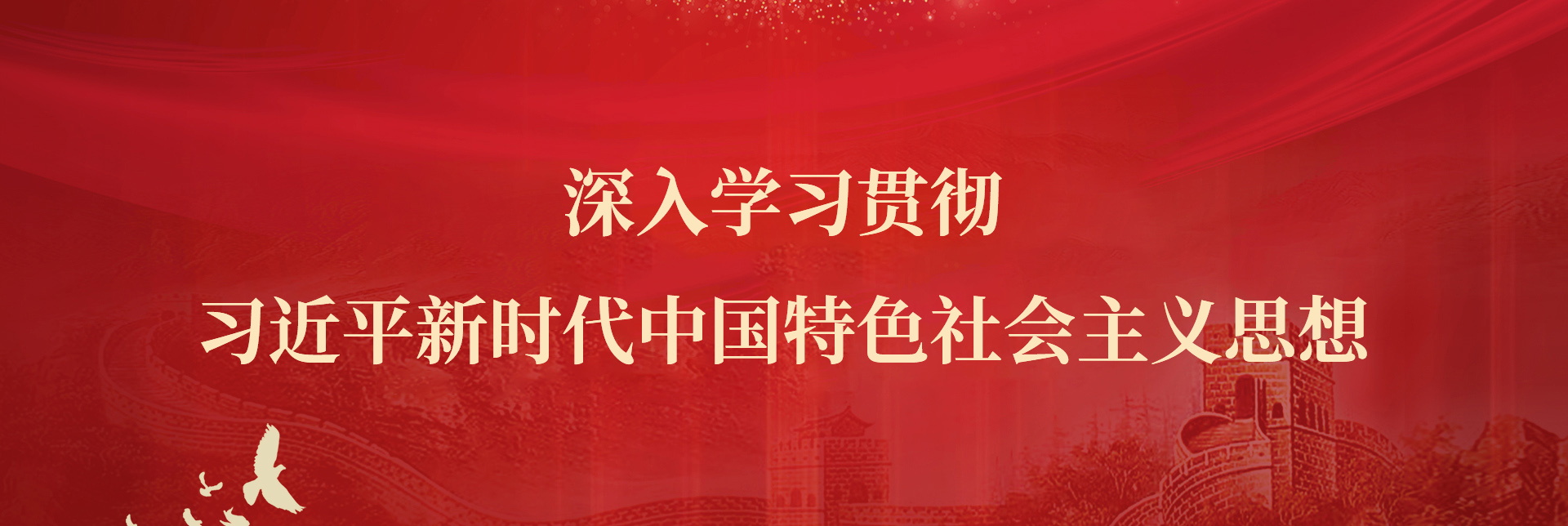 横幅：特色医疗